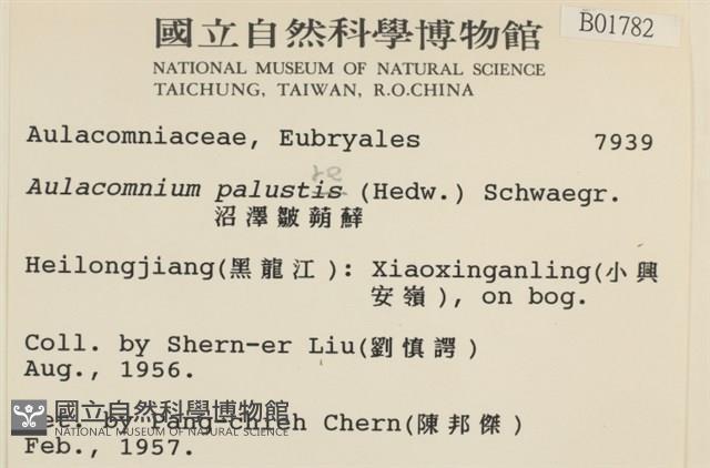 沼澤皺蒴蘚藏品圖，第2張