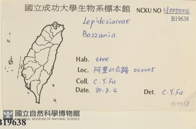 登錄號:B00019638藏品圖，第2張