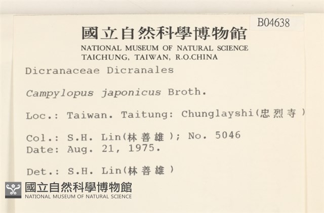 日本曲柄蘚藏品圖，第2張