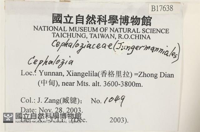 登錄號:B00017638藏品圖，第2張