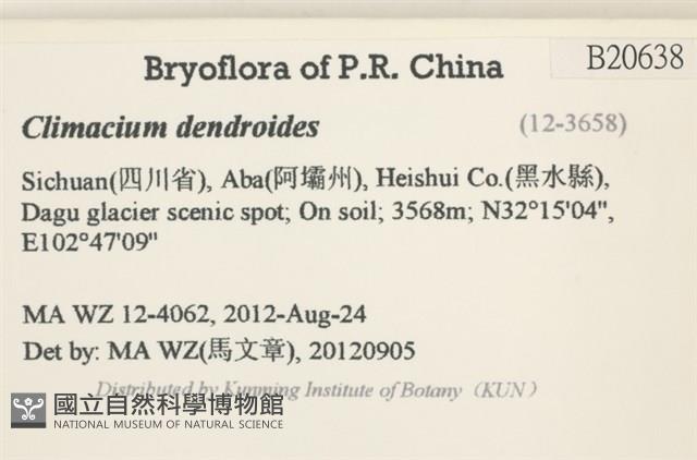 登錄號:B00020638藏品圖，第2張