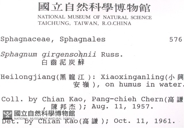 白齒泥炭蘚藏品圖，第2張