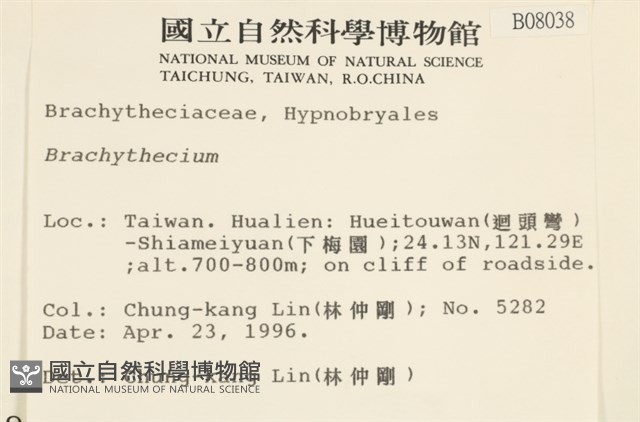 登錄號:B00008038藏品圖，第2張