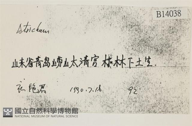 登錄號:B00014038藏品圖，第2張