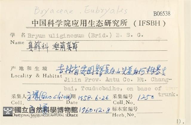 垂蒴真蘚藏品圖，第2張