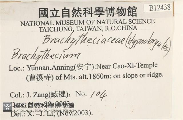 登錄號:B00012438藏品圖，第2張