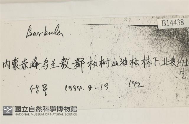 登錄號:B00014438藏品圖，第2張