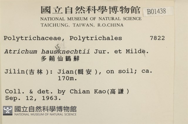 仙鶴蘚藏品圖，第2張