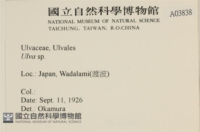 登錄號:A00003838藏品圖，第2張