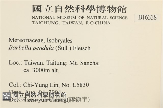 多疣懸蘚藏品圖，第2張