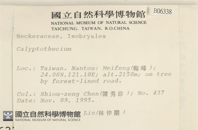 登錄號:B00006338藏品圖，第2張