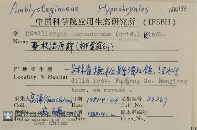 蔓枝濕原蘚藏品圖，第2張