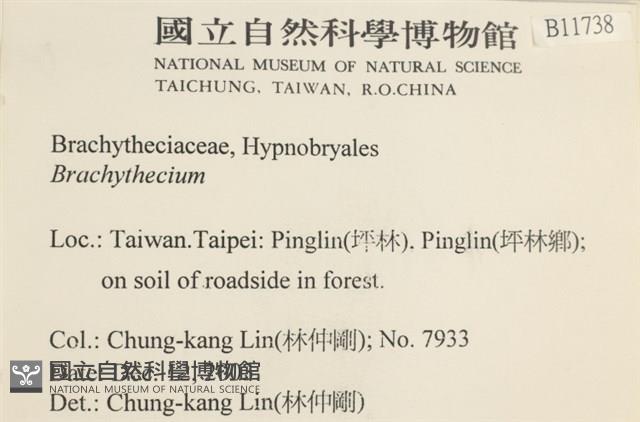 登錄號:B00011738藏品圖，第2張