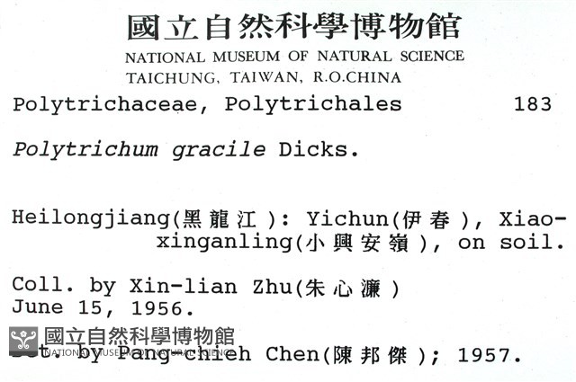 細葉金髮蘚藏品圖，第2張