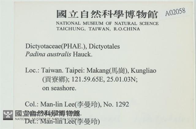 南方團扇藻藏品圖，第2張