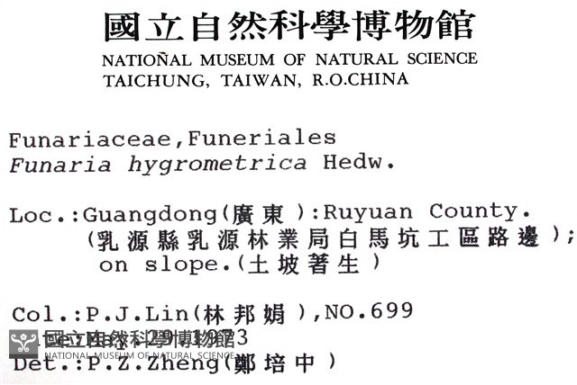 葫蘆蘚藏品圖，第2張