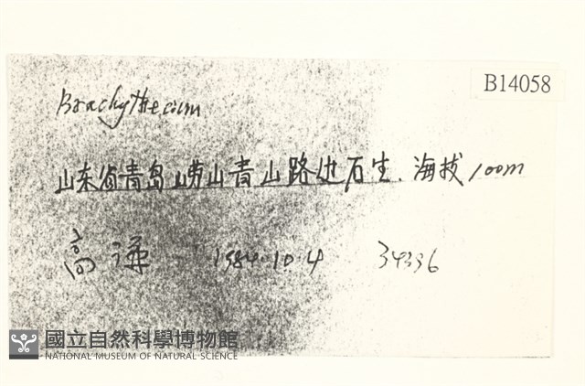 登錄號:B00014058藏品圖，第2張