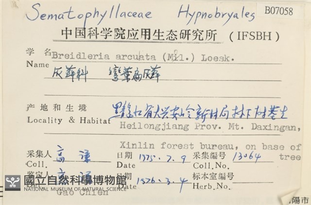 彎葉扁灰蘚藏品圖，第2張