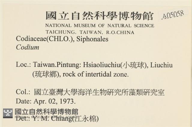 登錄號:A00005058藏品圖，第2張