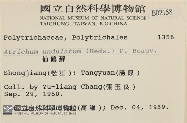 仙鶴蘚藏品圖，第2張