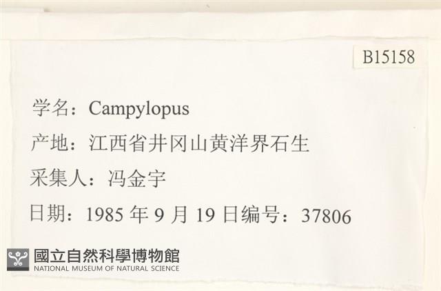 登錄號:B00015158藏品圖，第2張