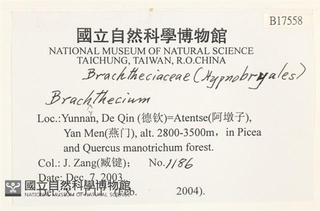 登錄號:B00017558藏品圖，第2張