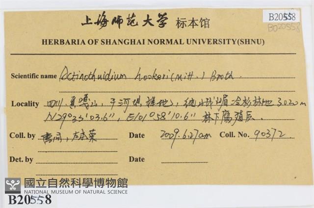 登錄號:B00020558藏品圖，第2張