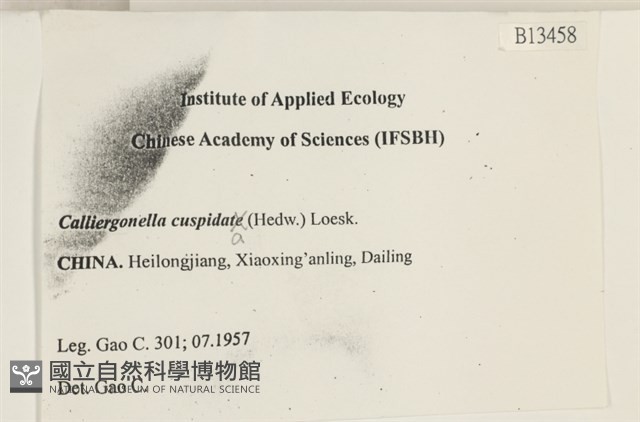 大濕原蘚藏品圖，第2張