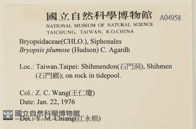 登錄號:A00004958藏品圖，第2張