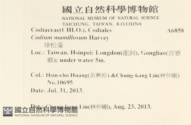 登錄號:A00006858藏品圖，第2張