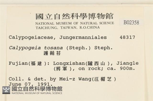 雙齒護蒴苔藏品圖，第2張