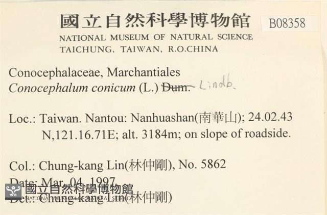 蛇苔藏品圖，第2張