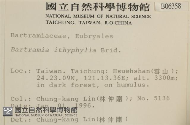 直葉珠蘚藏品圖，第2張