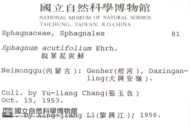 銳葉泥炭蘚藏品圖，第2張