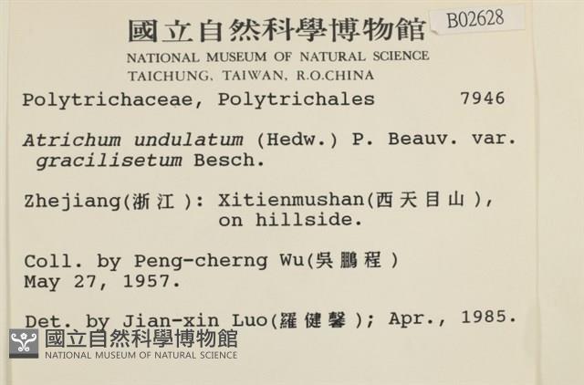 登錄號:B00002628藏品圖，第2張