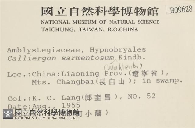 蔓枝濕原蘚藏品圖，第2張