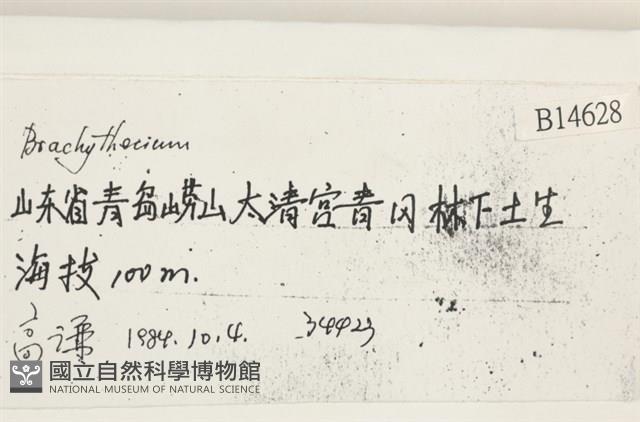 登錄號:B00014628藏品圖，第2張