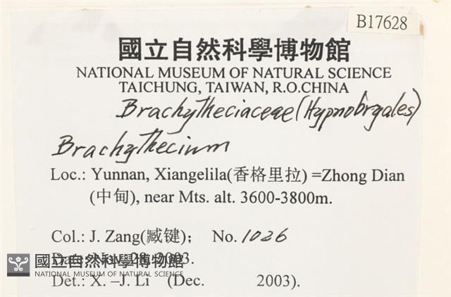 登錄號:B00017628藏品圖，第2張
