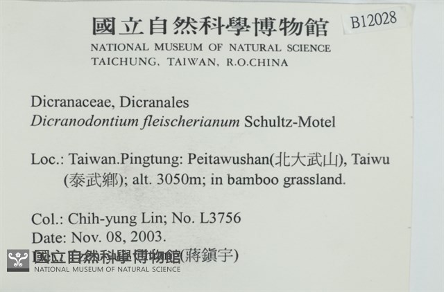 登錄號:B00012028藏品圖，第2張