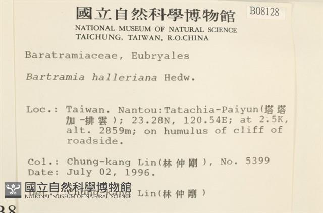 登錄號:B00008128藏品圖，第2張