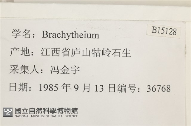 登錄號:B00015128藏品圖，第2張
