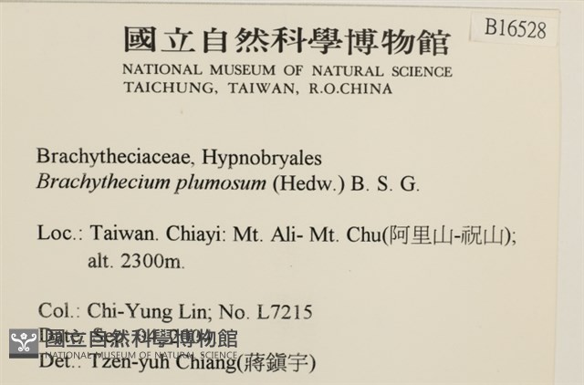 羽枝青蘚藏品圖，第2張