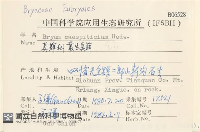 叢生真蘚藏品圖，第2張