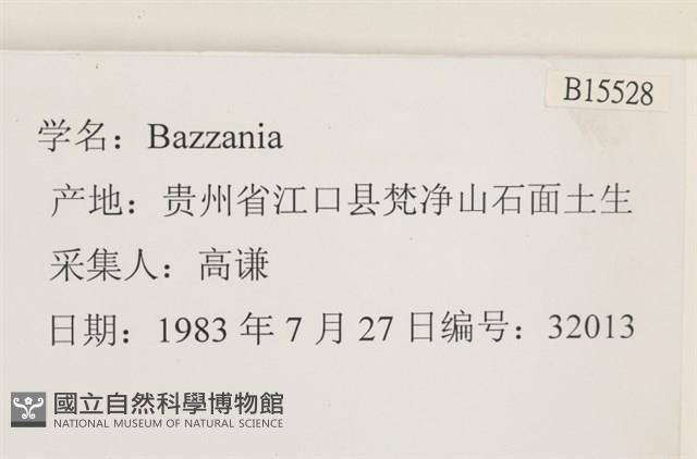 登錄號:B00015528藏品圖，第2張