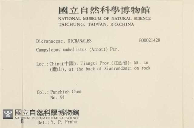登錄號:B00021428藏品圖，第2張