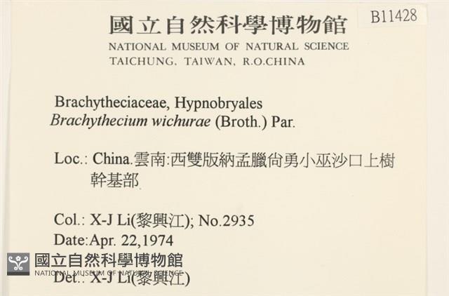 威氏青蘚藏品圖，第2張