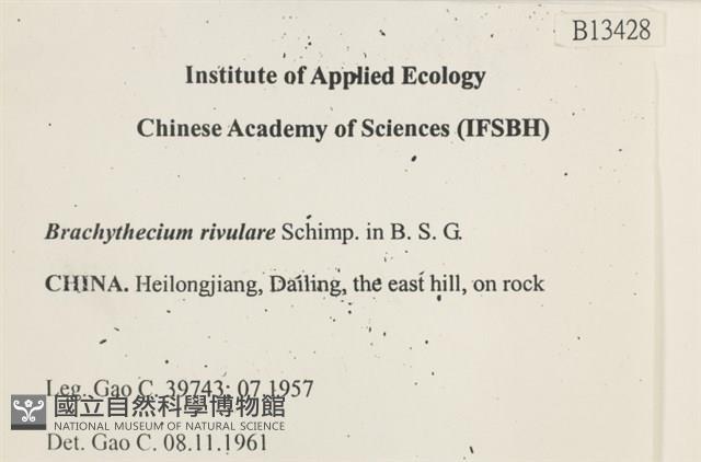 溪邊青蘚藏品圖，第2張