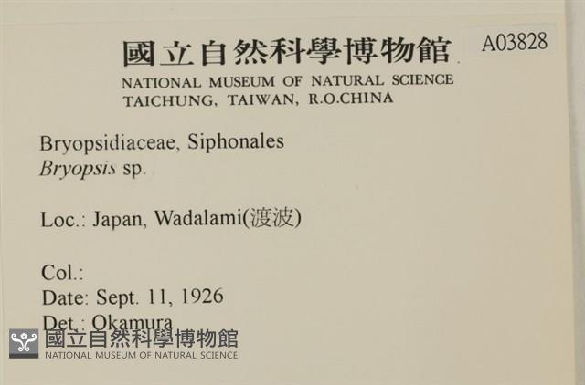 登錄號:A00003828藏品圖，第2張