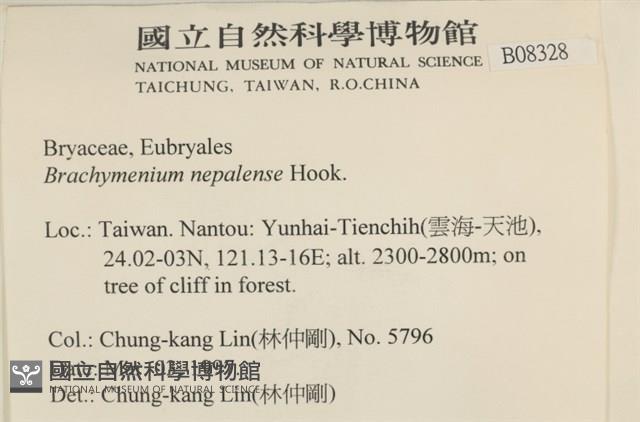 那霸短月蘚藏品圖，第2張