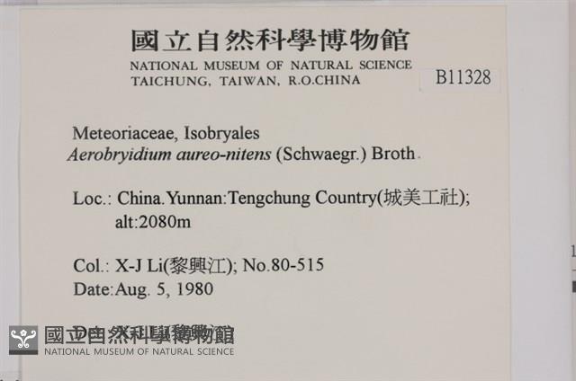 登錄號:B00011328藏品圖，第2張